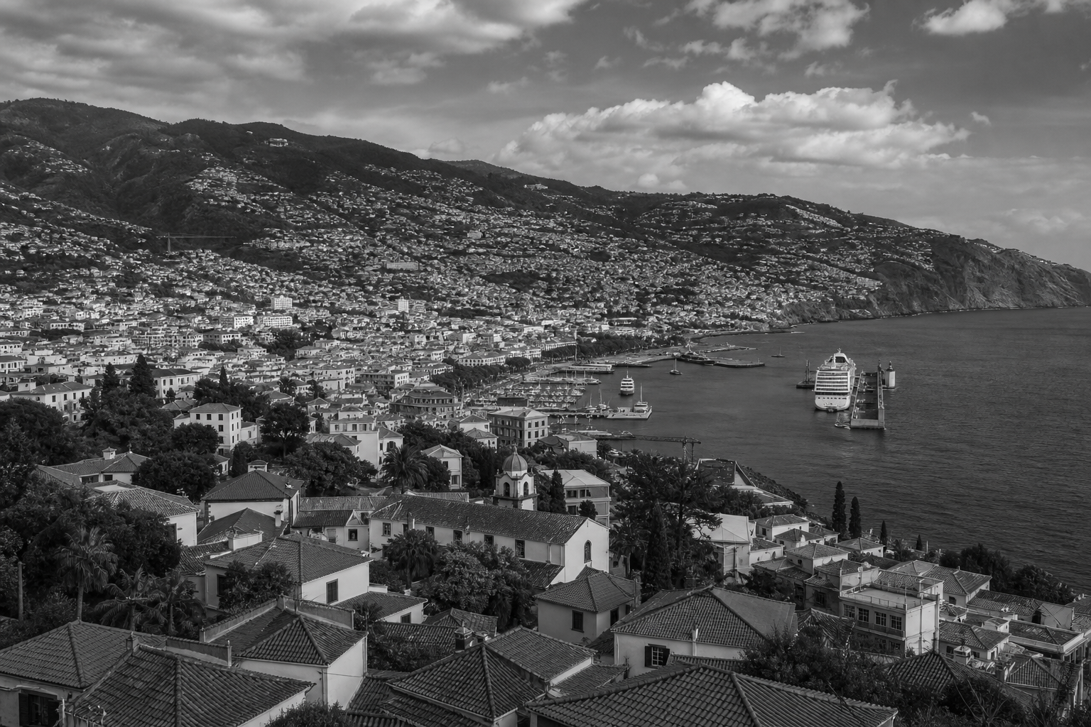 Black and white Funchal Madeira Portugal cityscape for private investigator services in Madeira